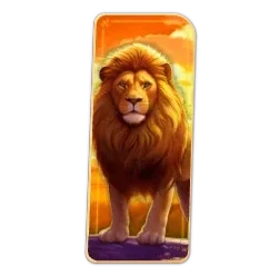 Lion
Safari